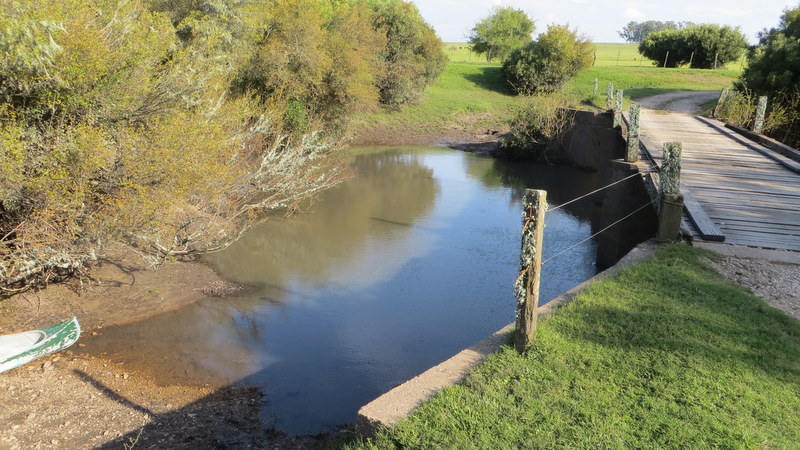 Río Olimar - Oct/2021 (Paso del Alambre - 33)