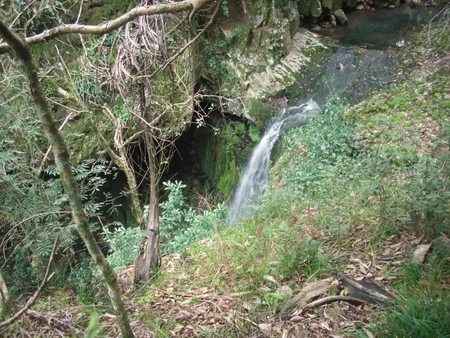 Slide 9