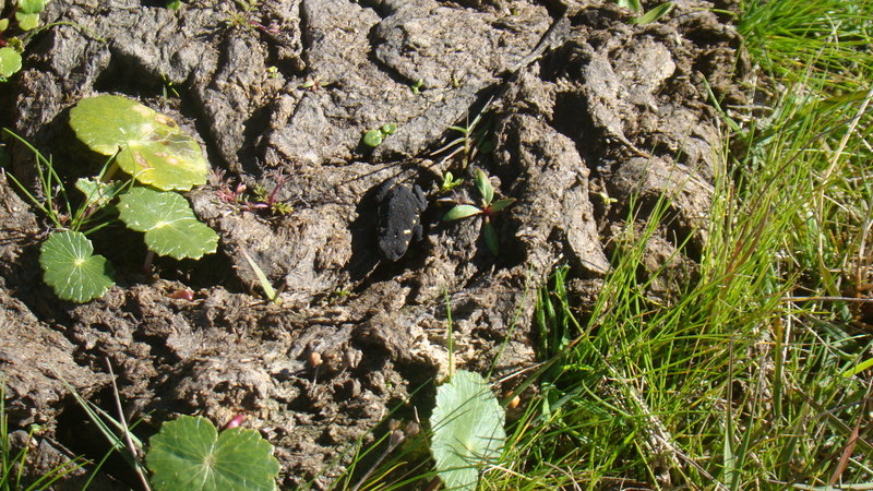 Slide 36