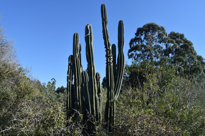 Slide 24